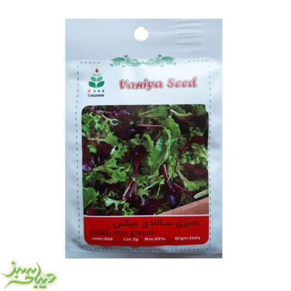 تصویر  بذر سبزی سالادی میکس