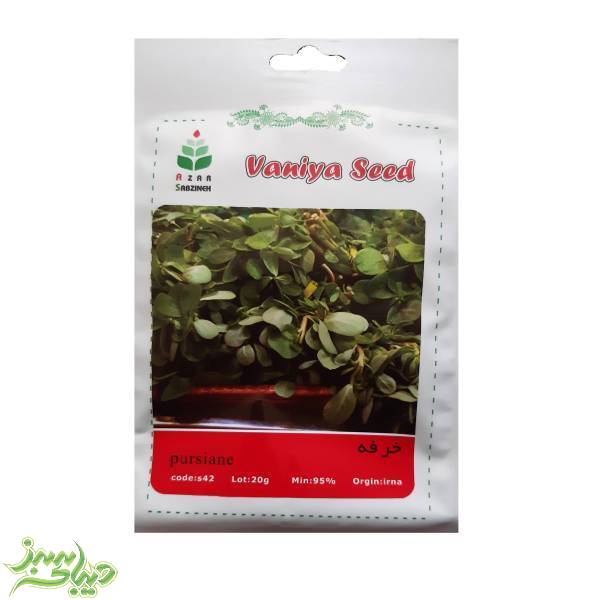 تصویر  بذر خرفه