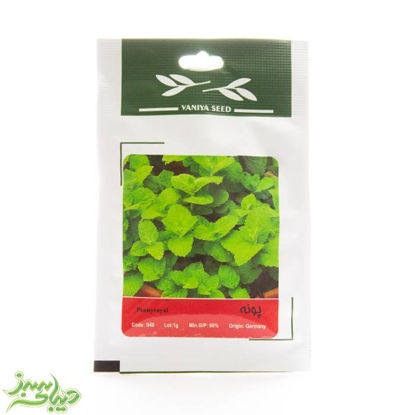 تصویر  بذر پونه