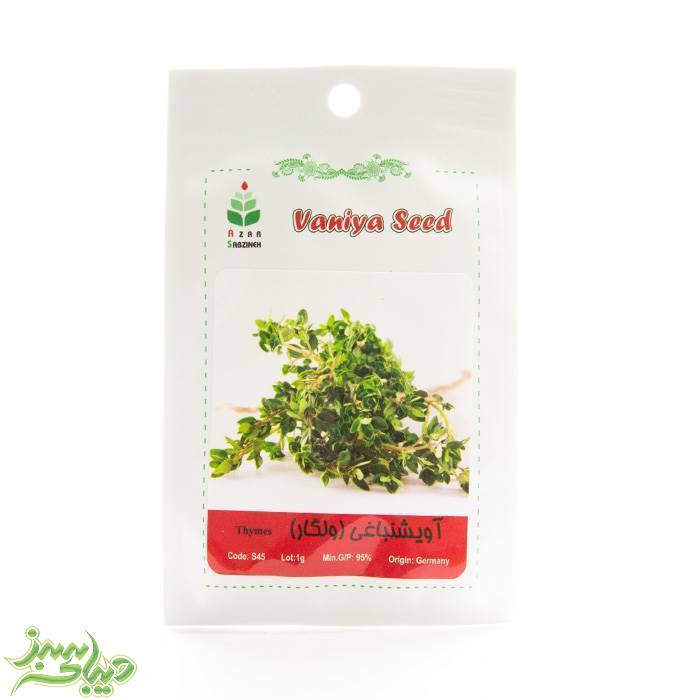 تصویر  بذر آویشن باغی (ولگار)