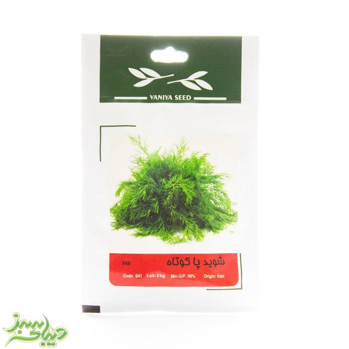 تصویر  بذر شوید پاکوتاه