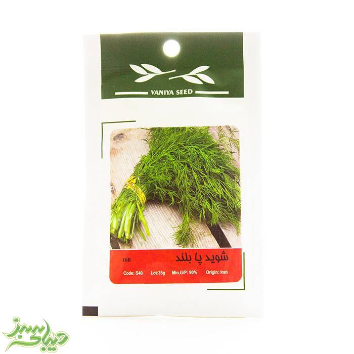 تصویر  بذر شوید پابلند