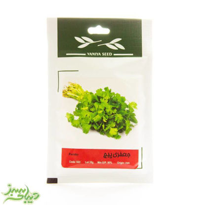 تصویر  بذر جعفری پیچ