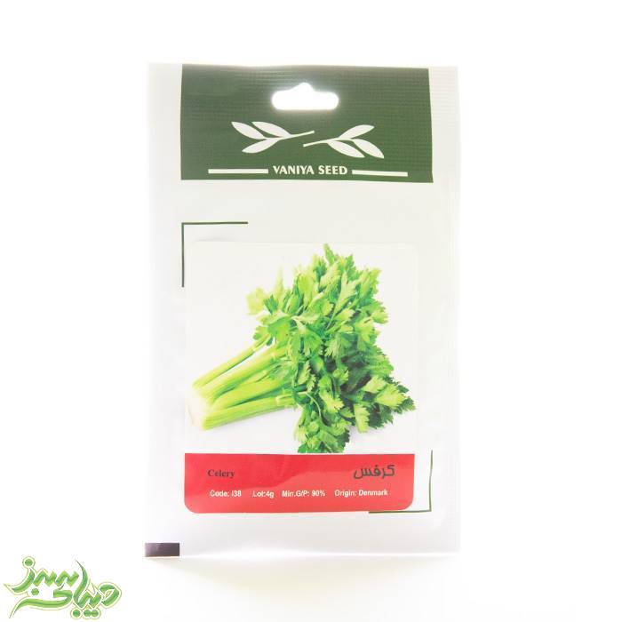 تصویر  بذر کرفس