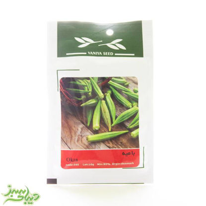 تصویر  بذر بامیه