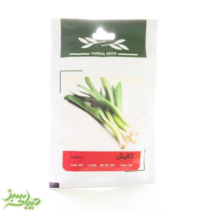 تصویر  بذر کالیش