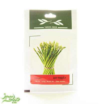 تصویر  بذر مارچوبه سبز