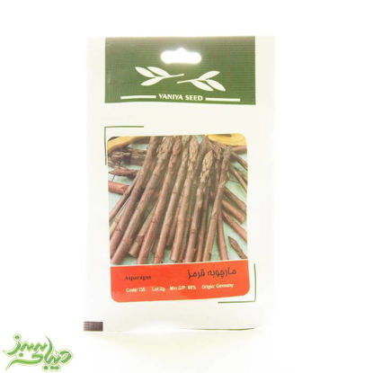 تصویر  بذر مارچوبه قرمز