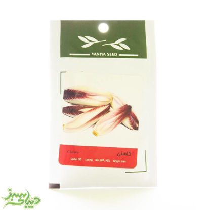 تصویر  بذر کاسنی