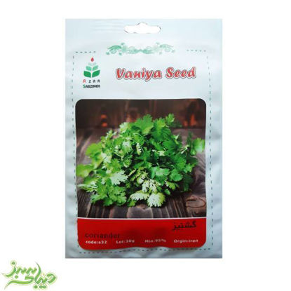 تصویر  بذر گشنیز محلی