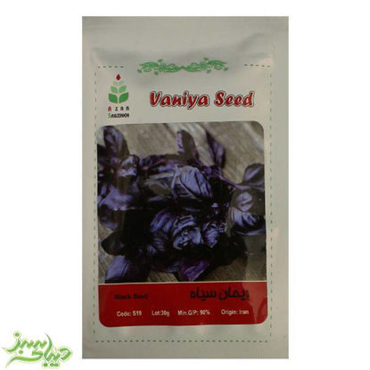 تصویر  بذر ریحان سیاه