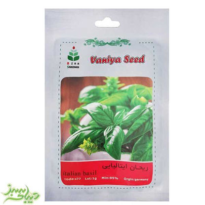 تصویر  بذر ریحان ایتالیایی