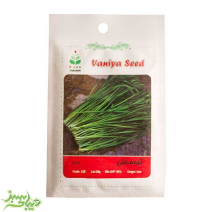 تصویر  بذر تره محلی