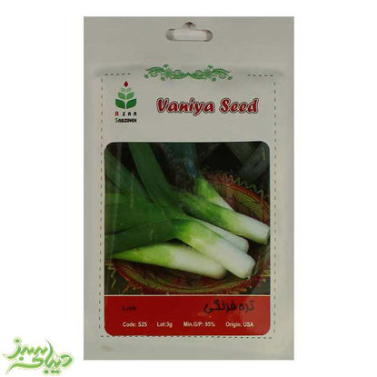 تصویر  بذر تره فرنگی