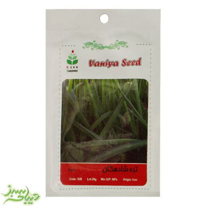 تصویر  بذر تره شادهگان