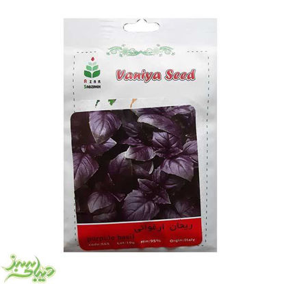 تصویر  بذر ریحان ارغوانی