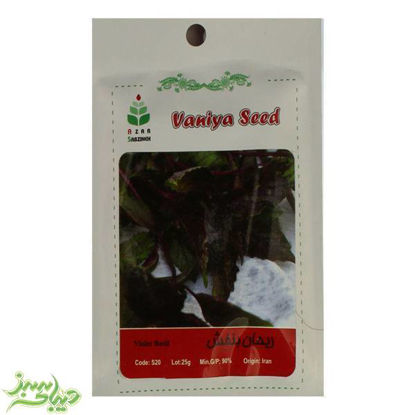 تصویر  بذر ریحان بنفش