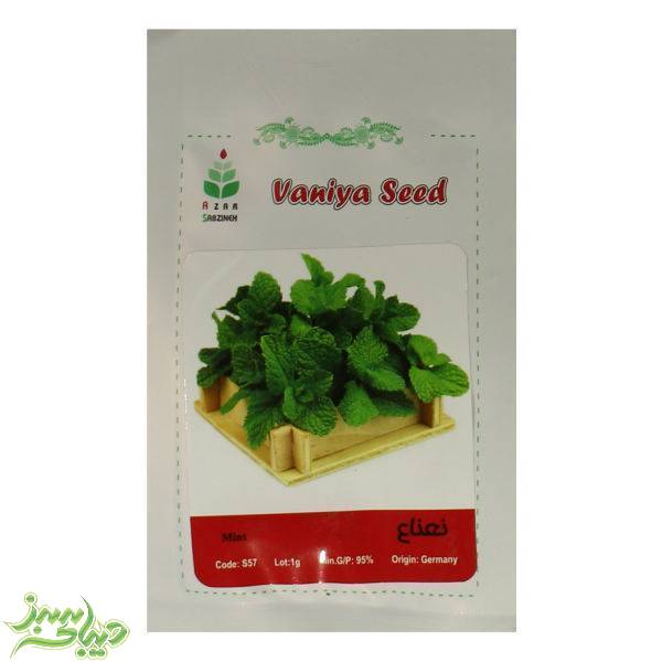 تصویر  بذر نعناع