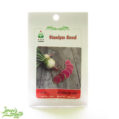 تصویر  بذر ترب هندوانه ای