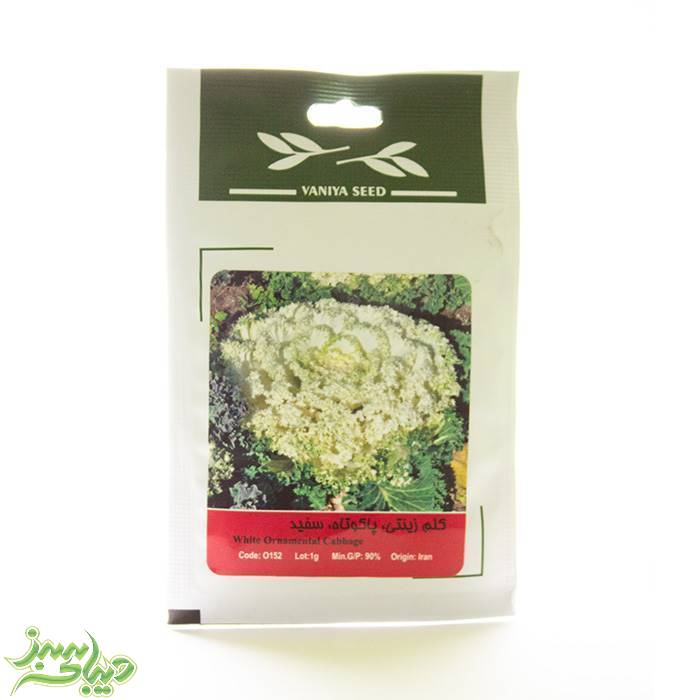 تصویر  بذر کلم زینتی ، پاکوتاه ، سفید