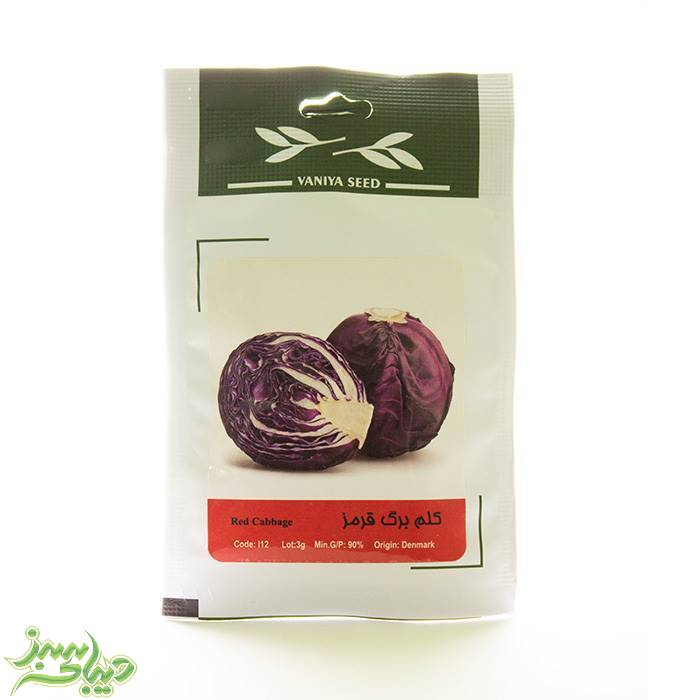 تصویر  بذر کلم برگ قرمز