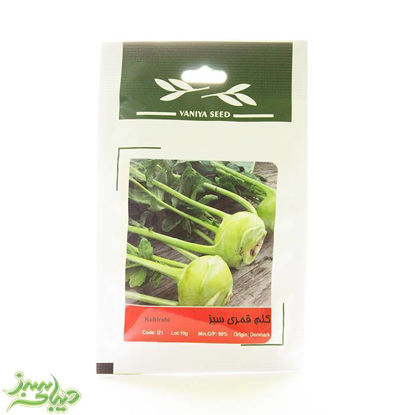 تصویر  بذر کلم قمری سبز