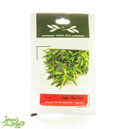 تصویر  بذر مرزه برگ پهن