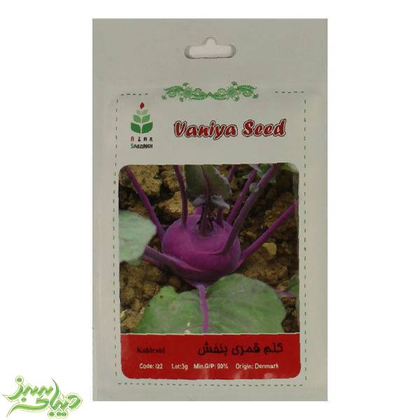 تصویر  بذر کلم قمری بنفش