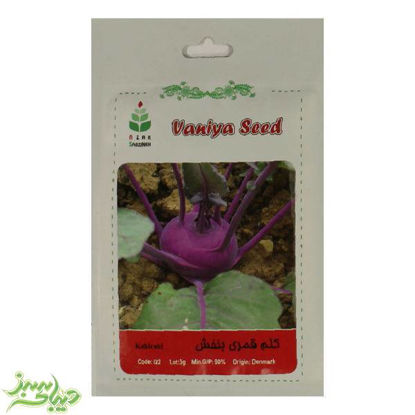 تصویر  بذر کلم قمری بنفش