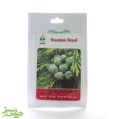 تصویر  بذر کامیس پاریس لاوسون