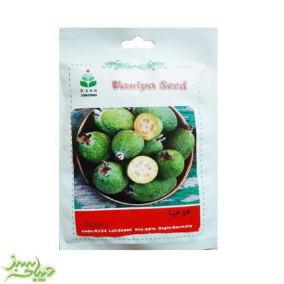 تصویر  بذر فوجیا