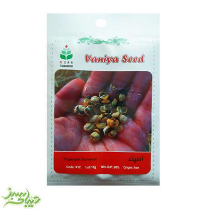 تصویر  بذر اسپند