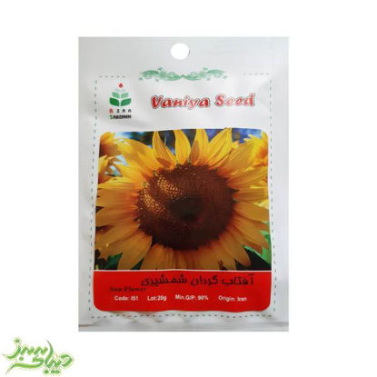 تصویر  بذر آفتاب گردان شمشیری