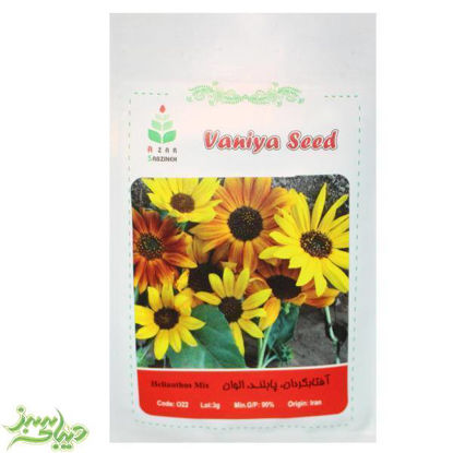 تصویر  بذر آفتاب گردان ، پابلند ، الوان