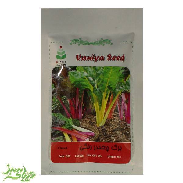 تصویر  بذر برگ چغندر رنگی