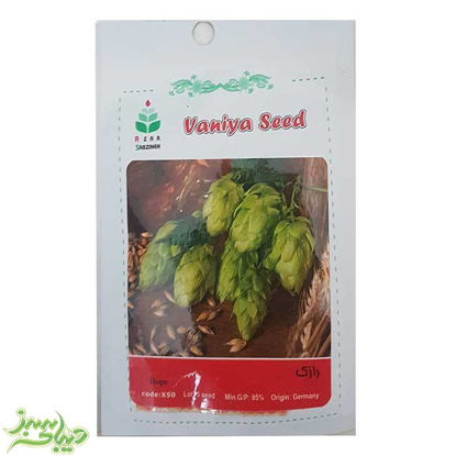 تصویر  بذر رازک