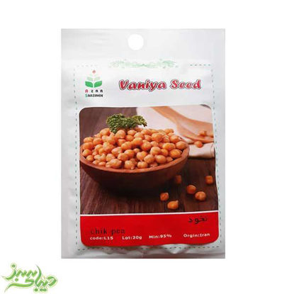 تصویر  بذر نخود