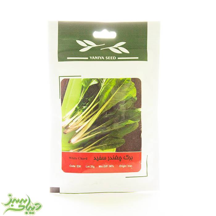 تصویر  بذر برگ چغندر سفید