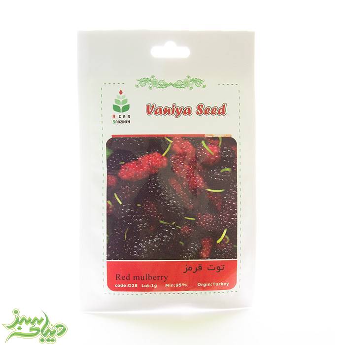 تصویر  بذر توت قرمز