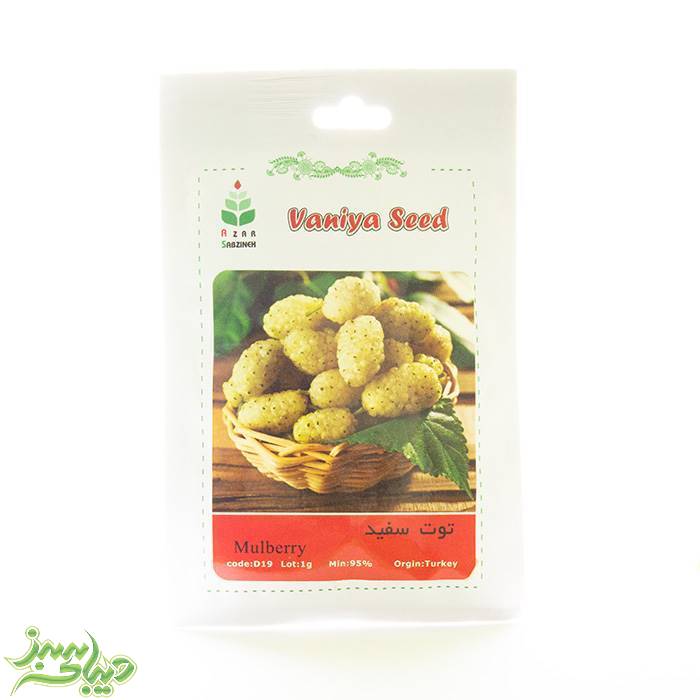 تصویر  بذر توت سفید