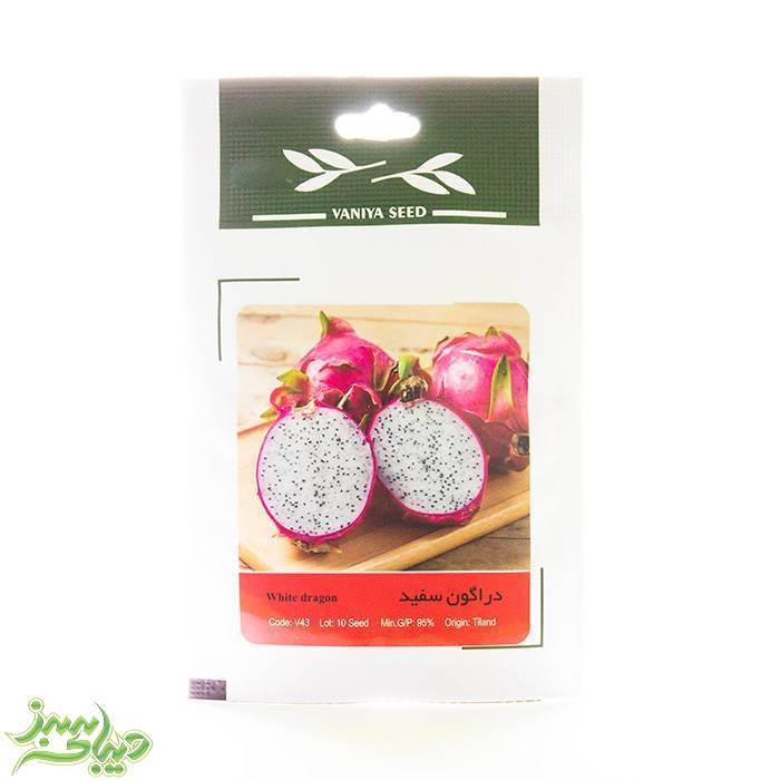 تصویر  بذر دراگون سفید