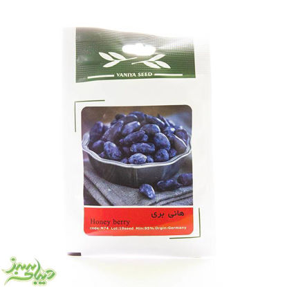تصویر  بذر هانی بری