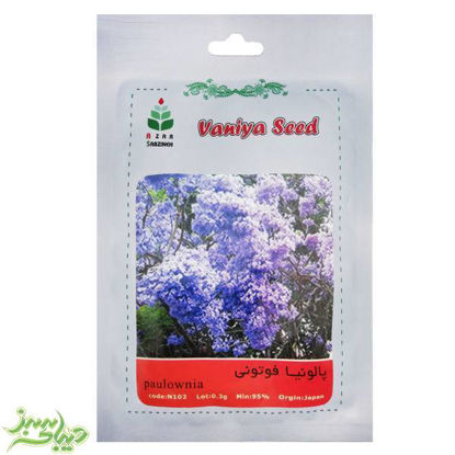 تصویر  بذر پالونیا فورتونی