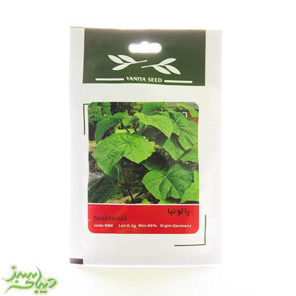 تصویر  بذر پالونیا