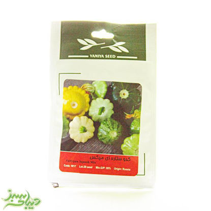 تصویر  بذر کدو ستاره ای میکس