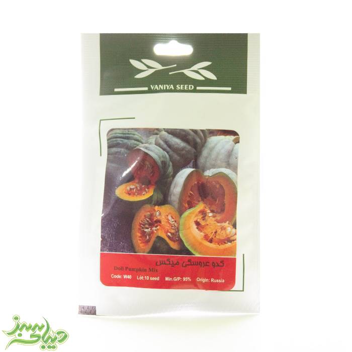 تصویر  بذر کدو عروسکی میکس