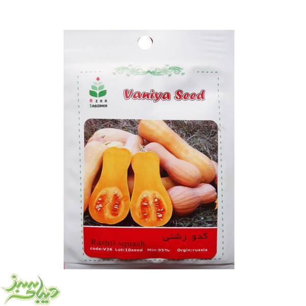 تصویر  بذر کدو رشتی