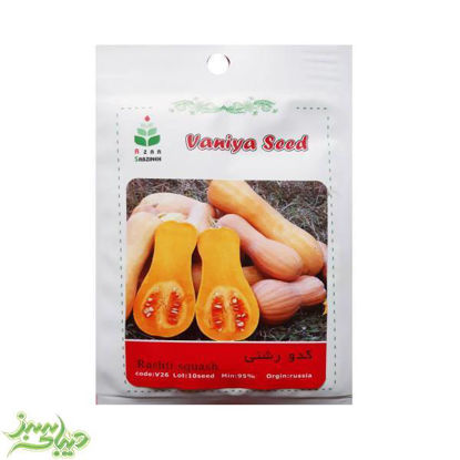 تصویر  بذر کدو رشتی