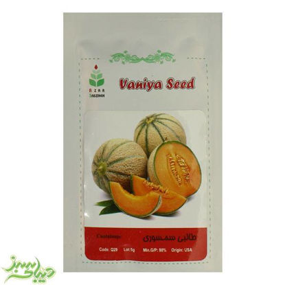 تصویر  بذر طالبی سمسوری