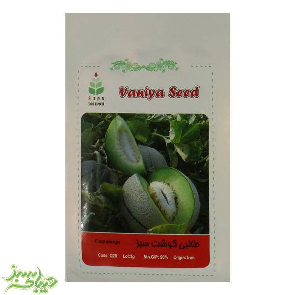 تصویر  بذر طالبی گوشت سبز